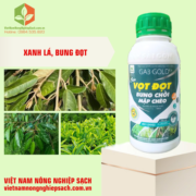 GA3 GOLD K+ – HIỆU SIÊU VỌT ĐỌT (2)