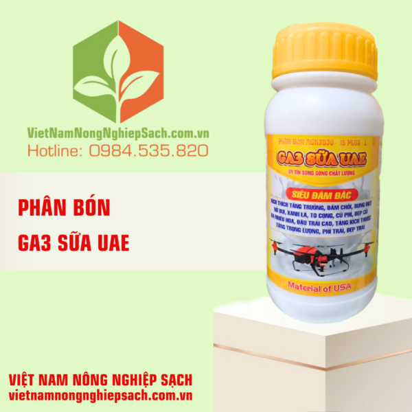 GA3 SỮA UAE