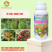 GABA SỮA – HIỆU AGRI VM 03 (3)