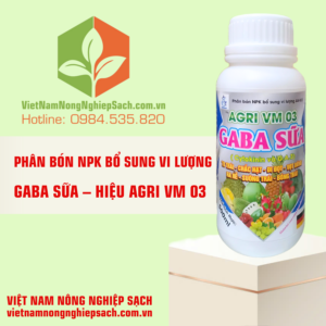 GABA SỮA – HIỆU AGRI VM 03