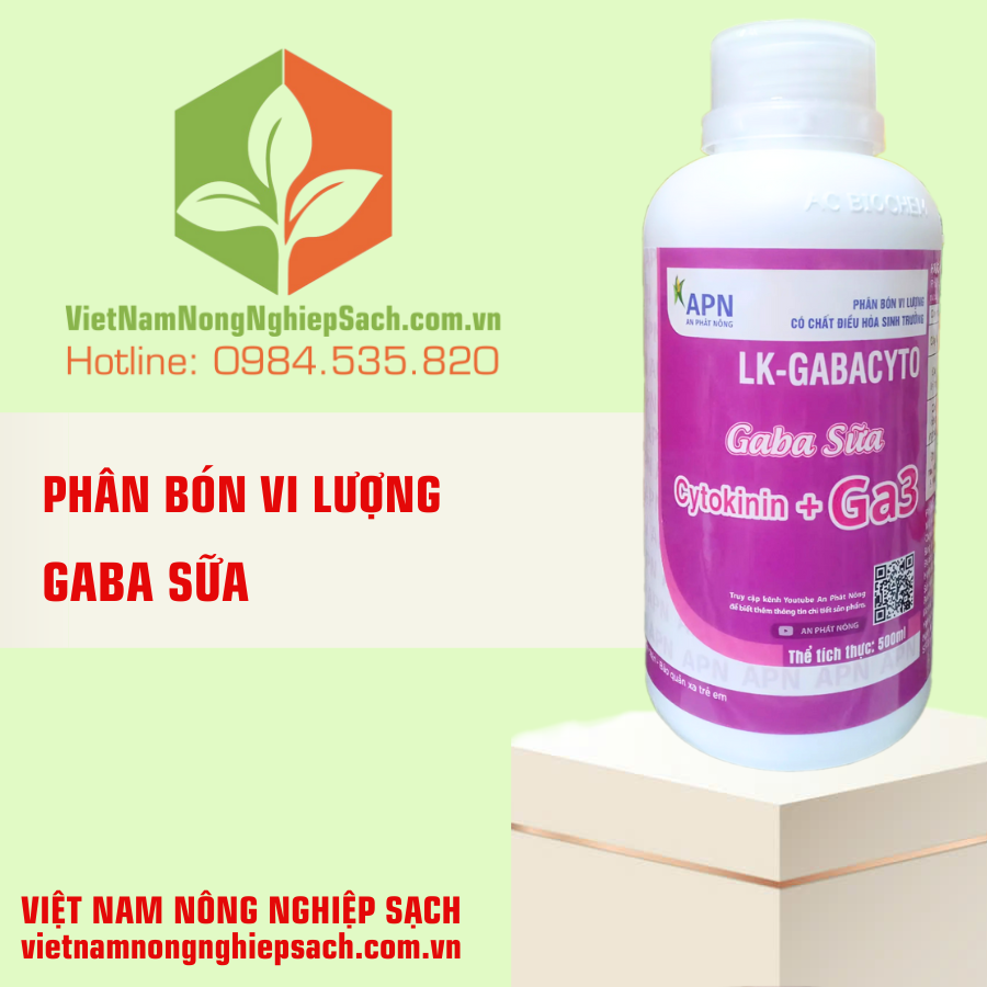 GABA SỮA