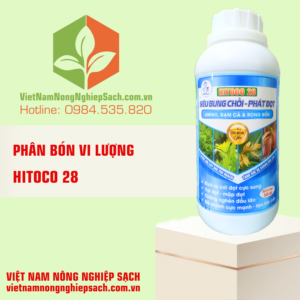 HITOCO 28 - HIỆU SIÊU BUNG CHỒI, PHÁT ĐỌT