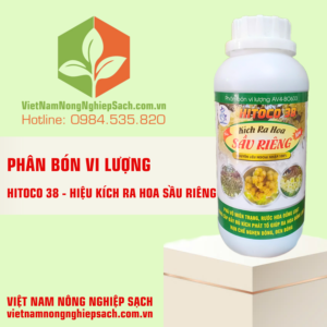 HITOCO 38 - HIỆU KÍCH RA HOA SẦU RIÊNG