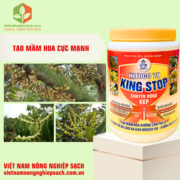 HITOCO 79 – HIỆU KING STOP (2)