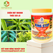 HITOCO 79 – HIỆU KING STOP (3)