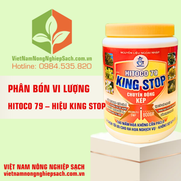 HITOCO 79 – HIỆU KING STOP