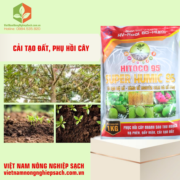 HITOCO 95 - HIỆU SUPER HUMIC 95 (3)