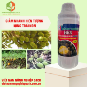 HK5 ĐẶNG HUỲNH (2)