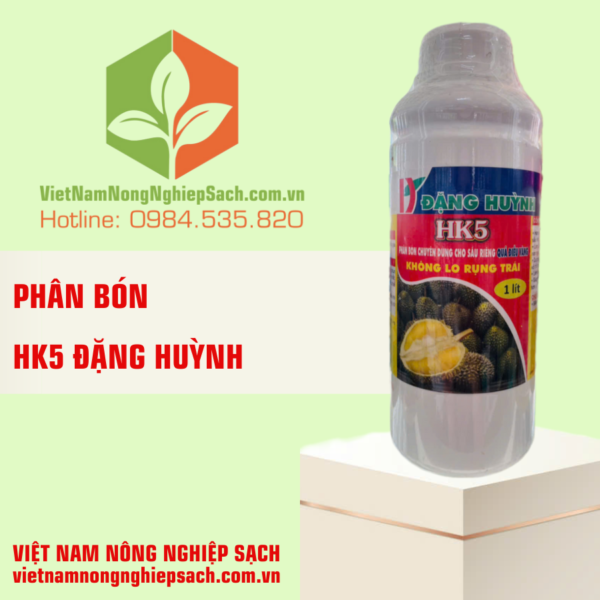 HK5 ĐẶNG HUỲNH