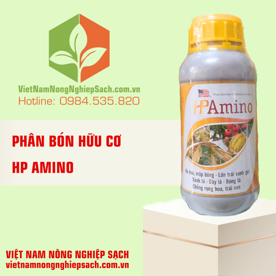 HP AMINO