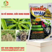 HUMIC THÁI – HUMIC 97 (2)