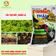 HUMIC THÁI – HUMIC 97 (3)