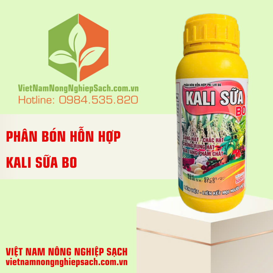 KALI SỮA BO