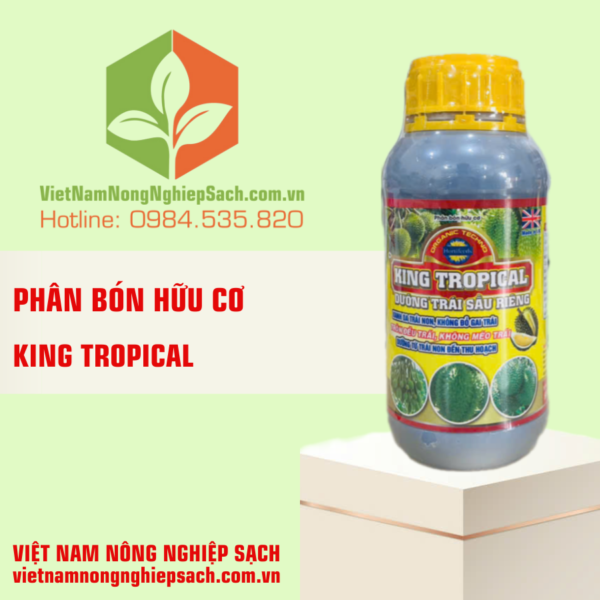 KING TROPICAL