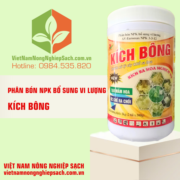 KÍCH BÔNG