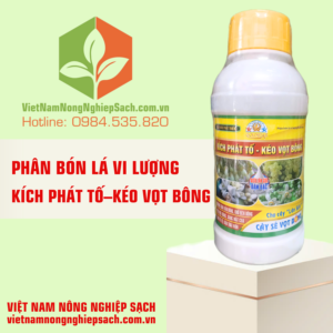 KÍCH PHÁT TỐ – KÉO VỌT BÔNG