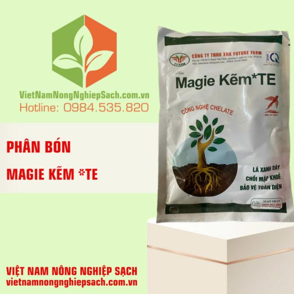 MAGIE KẼM TE