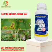 NANO ĐỒNG OXYCLORUA (2)