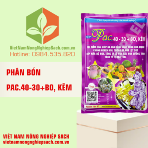 PAC.40-30+BO, KẼM