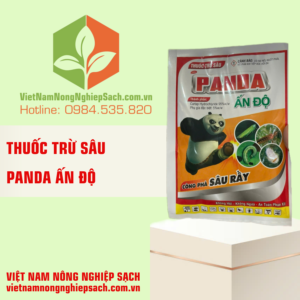 PANDA ẤN ĐỘ