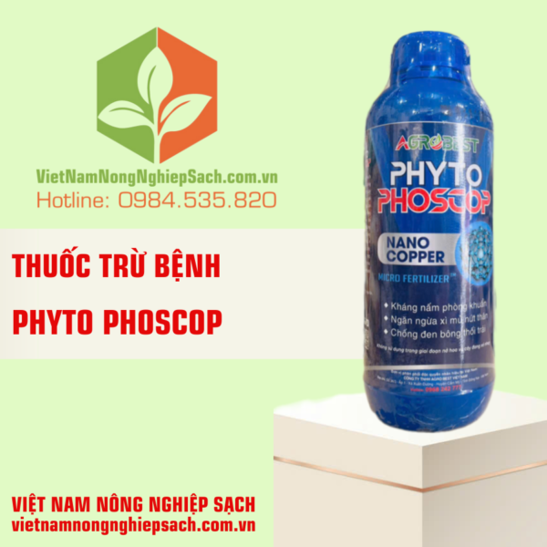 PHYTO PHOSCOP