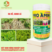 PRO AMINO (2)