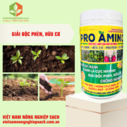 PRO AMINO (3)