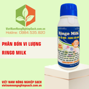 RINGO MILK