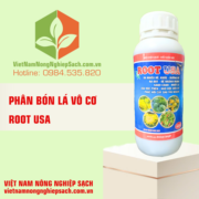 ROOT USA