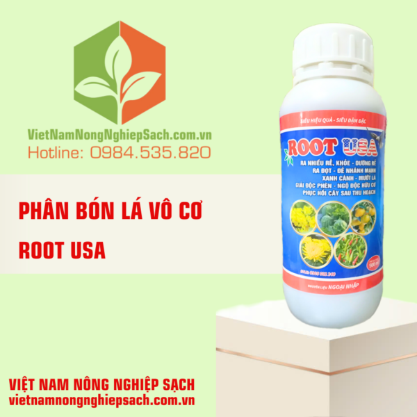 ROOT USA