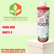 ROOTS 9
