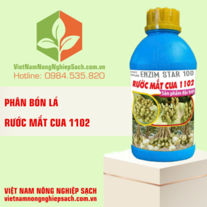 RƯỚC MẮT CUA 1102