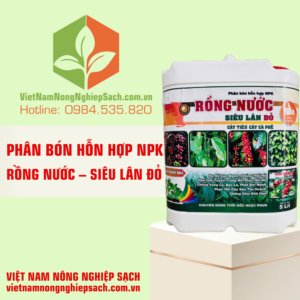 RỒNG NƯỚC – SIÊU LÂN ĐỎ