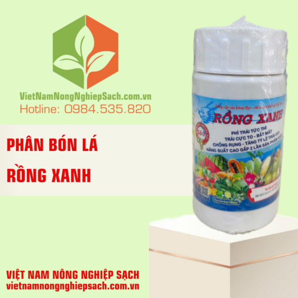 RỒNG XANH