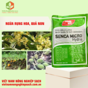 SENCA MICRO HYDRO (3)