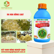 SIÊU CHẶN ĐỌT 1102 (3)