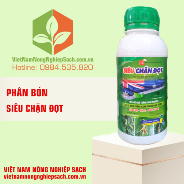 SIÊU CHẶN ĐỌT