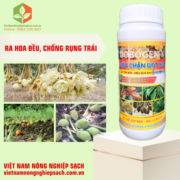 SIÊU CHẶN ĐỌT X10 (2)