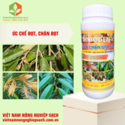 SIÊU CHẶN ĐỌT X10 (3)