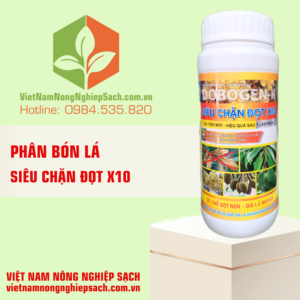 SIÊU CHẶN ĐỌT X10