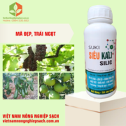 SIÊU KALI SILIC (2)