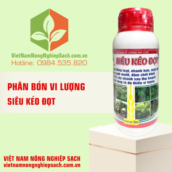 SIÊU KÉO ĐỌT