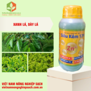 SIÊU KẼM 12% (3)