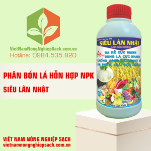 SIÊU LÂN NHẬT