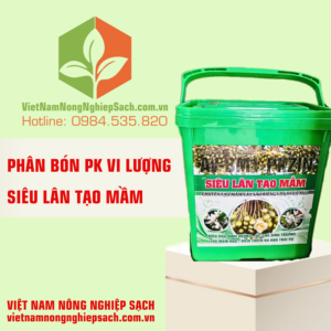 SIÊU LÂN TẠO MẦM