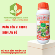 SIÊU LÂN ĐỎ