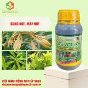 SIÊU VỌT ĐỌT (2)