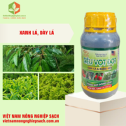 SIÊU VỌT ĐỌT (3)