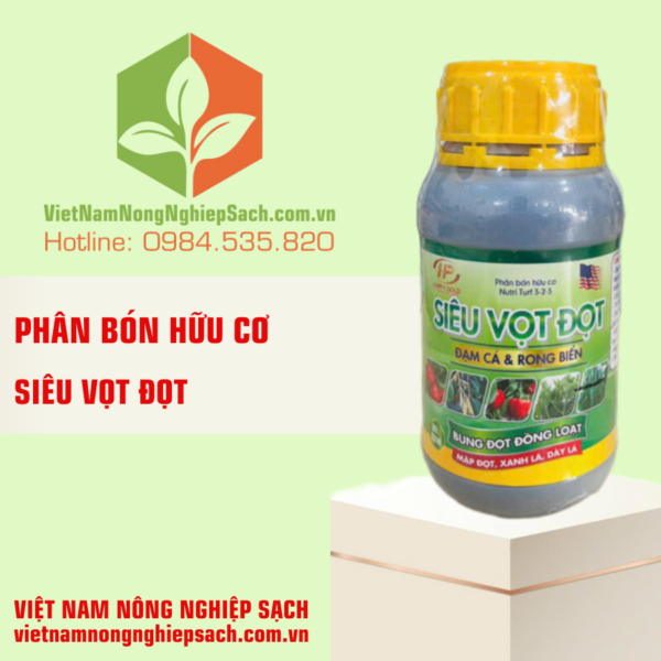 SIÊU VỌT ĐỌT