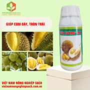 SỬA TƯỚNG TRÁI (2)